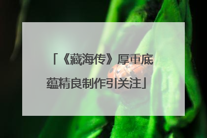 《藏海传》厚重底蕴精良制作引关注