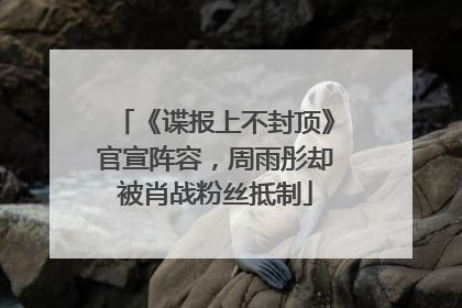 《谍报上不封顶》官宣阵容，周雨彤却被肖战粉丝抵制