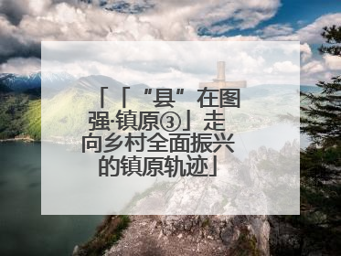 「“县”在图强·镇原③」走向乡村全面振兴的镇原轨迹