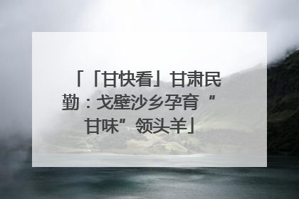 「甘快看」甘肃民勤：戈壁沙乡孕育“甘味”领头羊