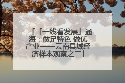 「一线看发展」通海：做足特色 做优产业——云南县域经济样本观察之二