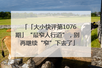 「大小快评第1076期」“最窄人行道”，别再继续“窄”下去了