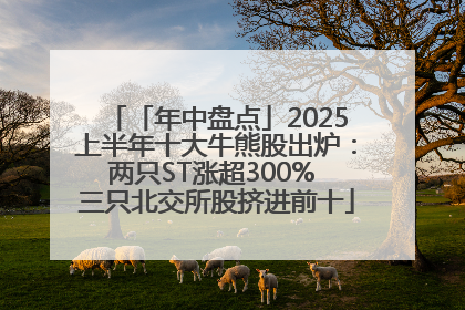 「年中盘点」2025上半年十大牛熊股出炉：两只ST涨超300% 三只北交所股挤进前十