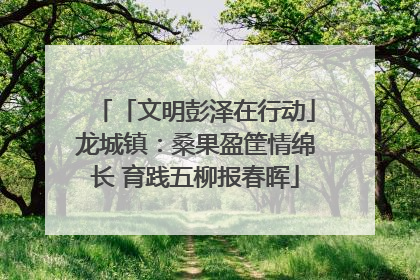 「文明彭泽在行动」龙城镇：桑果盈筐情绵长 育践五柳报春晖