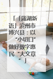 「蒲湖新语」滨州市博兴县：以“小切口”做好数字惠民“大文章”