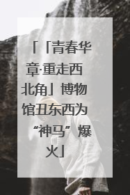 「青春华章·重走西北角」博物馆丑东西为“神马”爆火