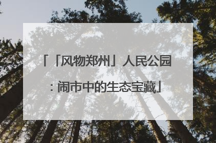 「风物郑州」人民公园：闹市中的生态宝藏