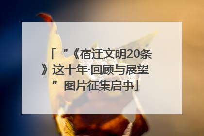 “《宿迁文明20条》这十年·回顾与展望”图片征集启事