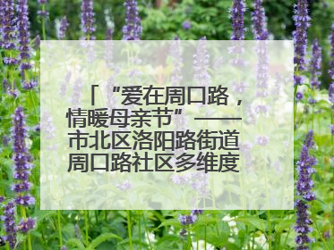 “爱在周口路，情暖母亲节”——市北区洛阳路街道周口路社区多维度关爱女性群体