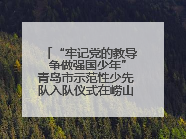 “牢记党的教导 争做强国少年”青岛市示范性少先队入队仪式在崂山区举办