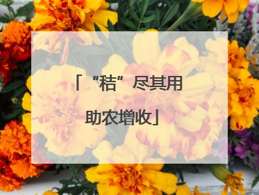 “秸”尽其用 助农增收