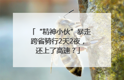 “精神小伙”暴走跨省骑行2天2夜，还上了高速？