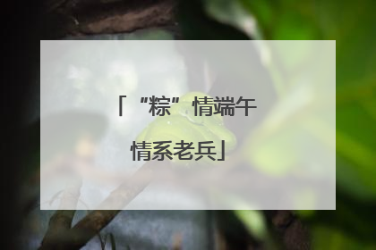 “粽”情端午 情系老兵