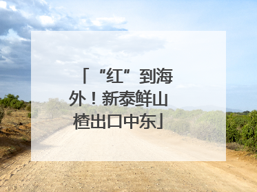 “红”到海外！新泰鲜山楂出口中东