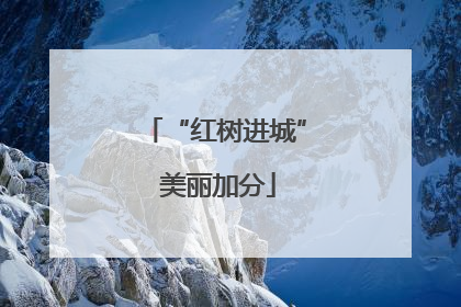 “红树进城” 美丽加分