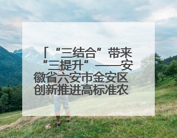 “三结合”带来“三提升”——安徽省六安市金安区创新推进高标准农田建设