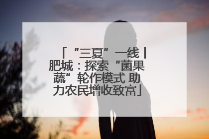 “三夏”一线丨肥城：探索“菌果蔬”轮作模式 助力农民增收致富