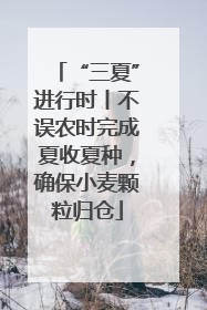 “三夏”进行时丨不误农时完成夏收夏种，确保小麦颗粒归仓
