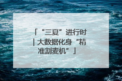 “三夏”进行时｜大数据化身“精准割麦机”