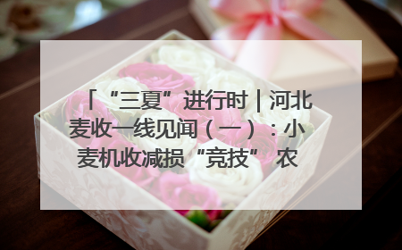 “三夏”进行时｜河北麦收一线见闻（一）：小麦机收减损“竞技” 农机高手麦田“过招”