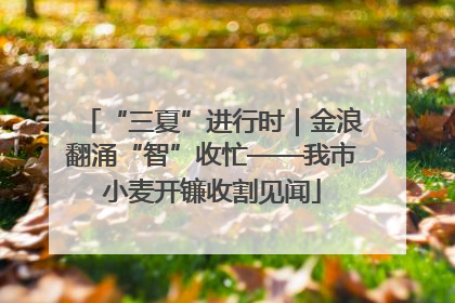 “三夏”进行时｜金浪翻涌“智”收忙——我市小麦开镰收割见闻