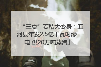 “三夏”麦秸大变身：五河县年发2.5亿千瓦时绿电 供20万吨蒸汽