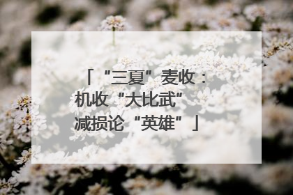 “三夏”麦收：机收“大比武” 减损论“英雄”