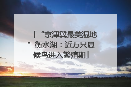 “京津冀最美湿地”衡水湖：近万只夏候鸟进入繁殖期