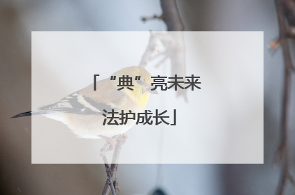 “典”亮未来 法护成长