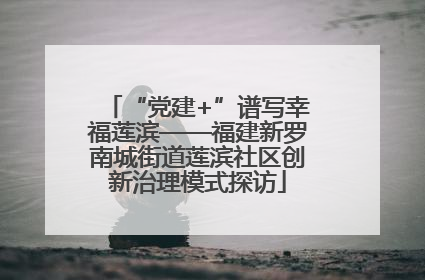 “党建+”谱写幸福莲滨——福建新罗南城街道莲滨社区创新治理模式探访