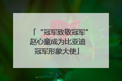 “冠军致敬冠军” 赵心童成为比亚迪冠军形象大使
