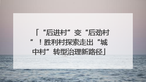 “后进村”变“后劲村”！胜利村探索走出“城中村”转型治理新路径