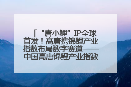 “唐小鲤”IP全球首发！高唐携锦鲤产业指数布局数字赛道——中国高唐锦鲤产业指数暨“唐小鲤”IP全球首发仪式在杭州举行