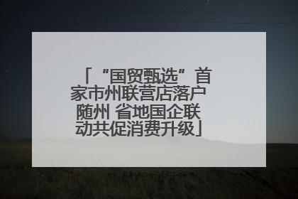 “国贸甄选”首家市州联营店落户随州 省地国企联动共促消费升级
