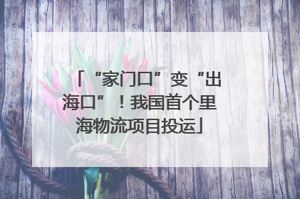 “家门口”变“出海口”！我国首个里海物流项目投运