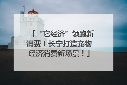 “它经济”领跑新消费！长宁打造宠物经济消费新场景！