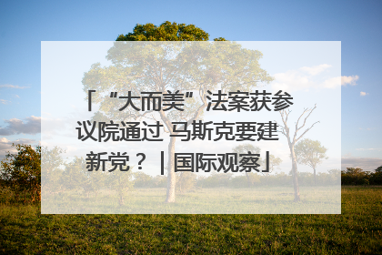 “大而美”法案获参议院通过 马斯克要建新党？｜国际观察