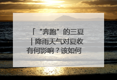 “奔跑”的三夏｜降雨天气对夏收有何影响？该如何防范？一文了解