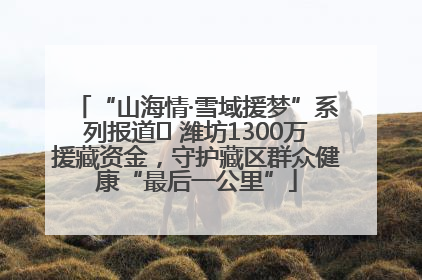 “山海情·雪域援梦”系列报道⑪ 潍坊1300万援藏资金，守护藏区群众健康“最后一公里”
