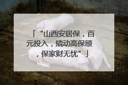 “山西安居保，百元投入，撬动高保额，保家财无忧”