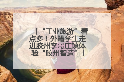 “工业旅游”看点多！外籍学生走进胶州李哥庄镇体验“胶州智造”