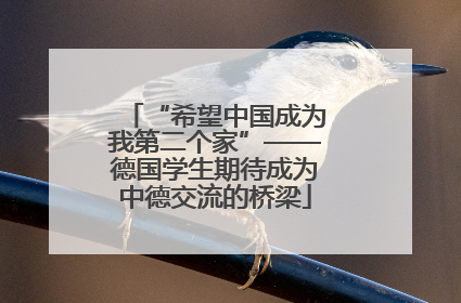 “希望中国成为我第二个家”——德国学生期待成为中德交流的桥梁