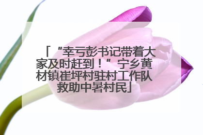 “幸亏彭书记带着大家及时赶到！”宁乡黄材镇崔坪村驻村工作队救助中暑村民