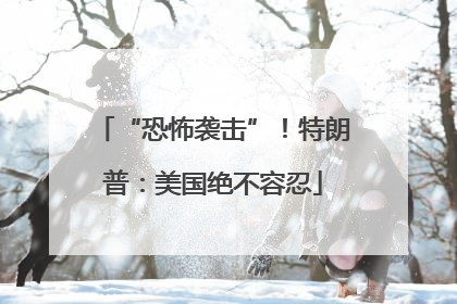 “恐怖袭击”！特朗普：美国绝不容忍