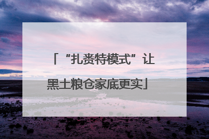 “扎赉特模式”让黑土粮仓家底更实