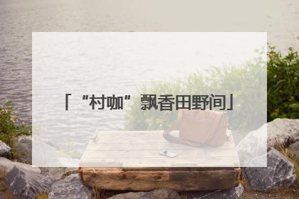 “村咖”飘香田野间