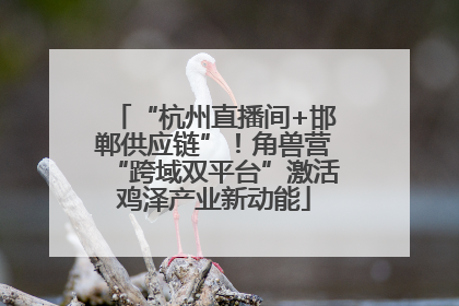 “杭州直播间+邯郸供应链”！角兽营“跨域双平台”激活鸡泽产业新动能