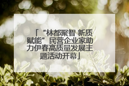 “林都聚智 新质赋能”民营企业家助力伊春高质量发展主题活动开幕