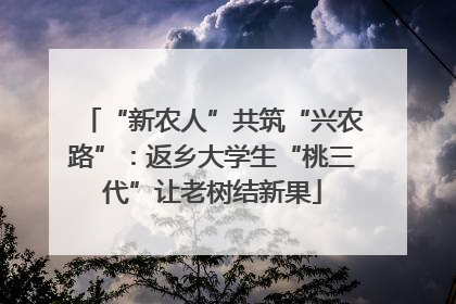 “新农人”共筑“兴农路”：返乡大学生“桃三代”让老树结新果