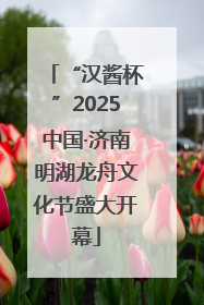 “汉酱杯”2025中国·济南明湖龙舟文化节盛大开幕